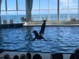 アクアワールド茨城県大洗水族館に投稿された画像（2022/11/17）