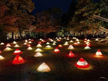 国営昭和記念公園 秋の夜散歩に投稿された画像（2022/11/17）