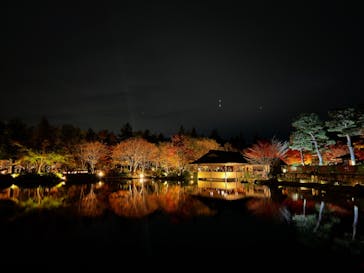 国営昭和記念公園 秋の夜散歩に投稿された画像（2022/11/17）