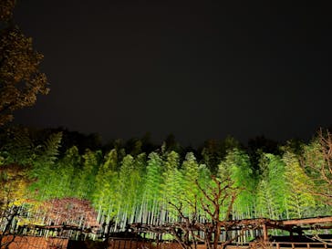 国営昭和記念公園 秋の夜散歩に投稿された画像（2022/11/17）