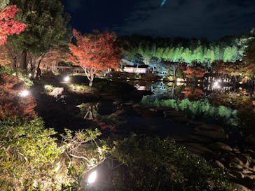 国営昭和記念公園 秋の夜散歩に投稿された画像（2022/11/17）