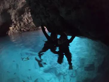 武藤潜水に投稿された画像（2022/11/17）