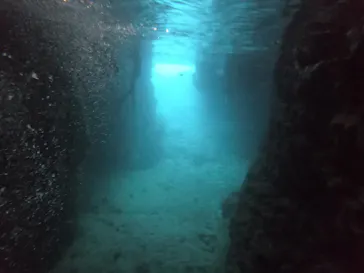 武藤潜水に投稿された画像（2022/11/17）