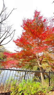 ムーミンバレーパークに投稿された画像（2022/11/17）