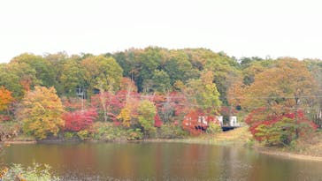 ムーミンバレーパークに投稿された画像（2022/11/17）