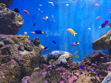 仙台うみの杜水族館に投稿された画像（2022/11/17）