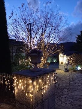 星の王子さまミュージアム 箱根サン=テグジュペリに投稿された画像（2022/11/17）