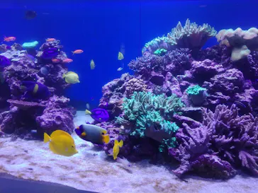 横浜・八景島シーパラダイスに投稿された画像（2022/11/17）