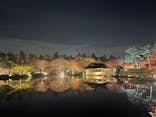国営昭和記念公園 秋の夜散歩に投稿された画像（2022/11/17）