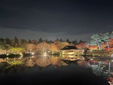 国営昭和記念公園 秋の夜散歩に投稿された画像（2022/11/17）