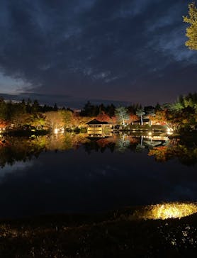 国営昭和記念公園 秋の夜散歩に投稿された画像（2022/11/17）