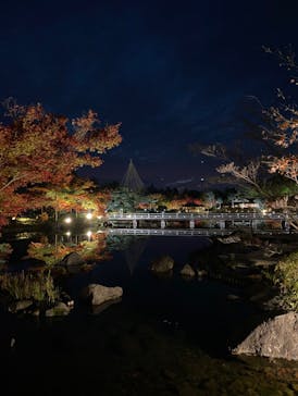 国営昭和記念公園 秋の夜散歩に投稿された画像（2022/11/17）