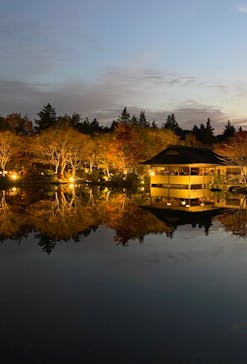 国営昭和記念公園 秋の夜散歩に投稿された画像（2022/11/17）