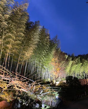 国営昭和記念公園 秋の夜散歩に投稿された画像（2022/11/17）