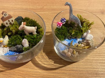 伊勢夫婦岩めおと横丁　めおと岩アクティビティに投稿された画像（2022/11/17）