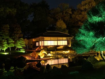 NAKED FLOWERS 2022 秋 世界遺産・二条城に投稿された画像（2022/11/17）