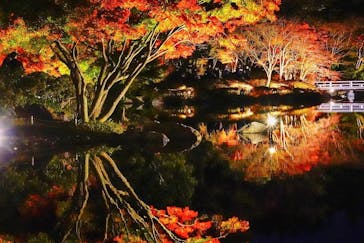 国営昭和記念公園 秋の夜散歩に投稿された画像（2022/11/17）