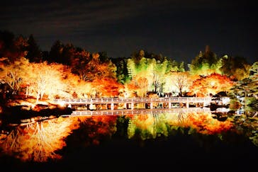 国営昭和記念公園 秋の夜散歩に投稿された画像（2022/11/17）