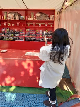 西武園ゆうえんちに投稿された画像（2022/11/17）