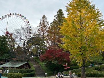 西武園ゆうえんちに投稿された画像（2022/11/17）