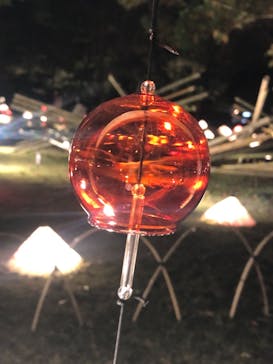 国営昭和記念公園 秋の夜散歩に投稿された画像（2022/11/17）