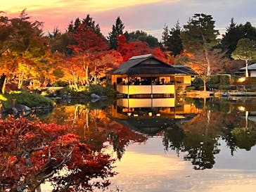 国営昭和記念公園 秋の夜散歩に投稿された画像（2022/11/17）