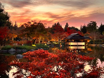 国営昭和記念公園 秋の夜散歩に投稿された画像（2022/11/17）