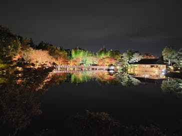 国営昭和記念公園 秋の夜散歩に投稿された画像（2022/11/17）