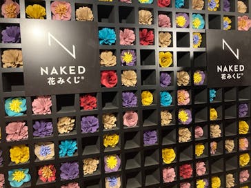 NAKED FLOWERS 2022 秋 世界遺産・二条城に投稿された画像（2022/11/17）