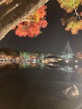 国営昭和記念公園 秋の夜散歩に投稿された画像（2022/11/17）