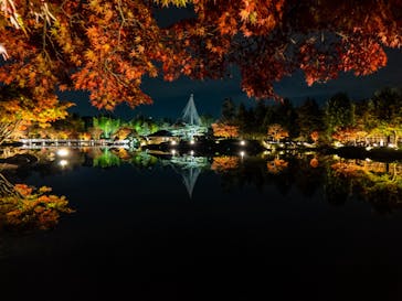 国営昭和記念公園 秋の夜散歩に投稿された画像（2022/11/17）