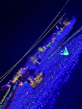 伊豆ぐらんぱる公園に投稿された画像（2022/11/17）