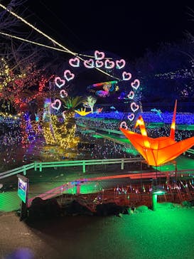 伊豆ぐらんぱる公園に投稿された画像（2022/11/17）