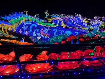 伊豆ぐらんぱる公園に投稿された画像（2022/11/17）