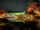 国営昭和記念公園 秋の夜散歩に投稿された画像（2022/11/17）