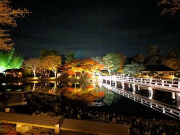 国営昭和記念公園 秋の夜散歩に投稿された画像（2022/11/17）
