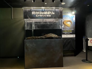 サンシャイン水族館に投稿された画像（2022/11/17）