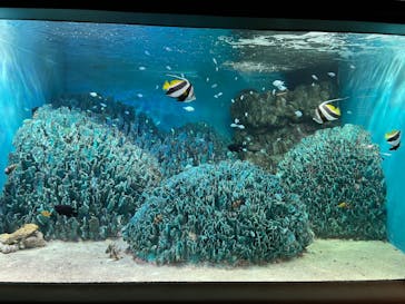 サンシャイン水族館に投稿された画像（2022/11/17）