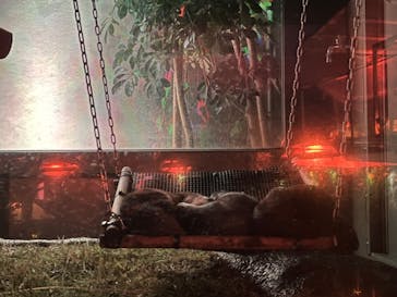 サンシャイン水族館に投稿された画像（2022/11/17）