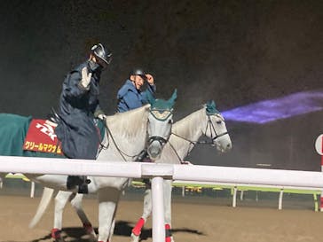 東京メガイルミに投稿された画像（2022/11/17）