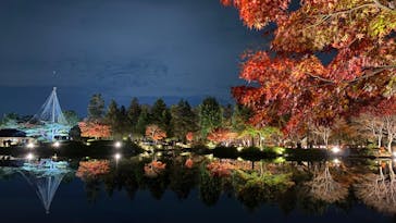 国営昭和記念公園 秋の夜散歩に投稿された画像（2022/11/17）