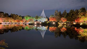 国営昭和記念公園 秋の夜散歩に投稿された画像（2022/11/17）