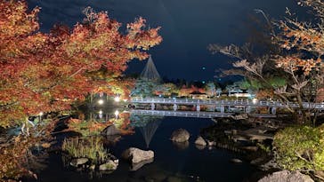 国営昭和記念公園 秋の夜散歩に投稿された画像（2022/11/17）