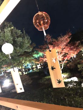 国営昭和記念公園 秋の夜散歩に投稿された画像（2022/11/17）