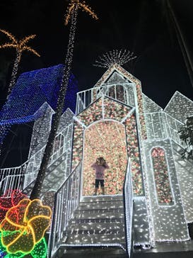 美らヤシパークオキナワ・東南植物楽園に投稿された画像（2022/11/17）