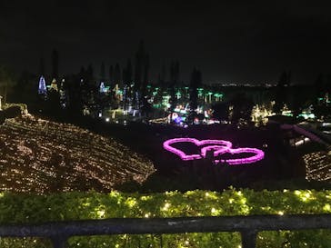 美らヤシパークオキナワ・東南植物楽園に投稿された画像（2022/11/17）