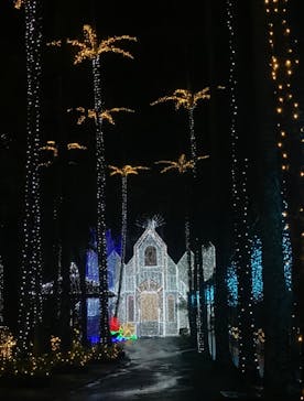 美らヤシパークオキナワ・東南植物楽園に投稿された画像（2022/11/17）