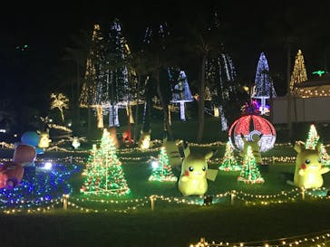 美らヤシパークオキナワ・東南植物楽園に投稿された画像（2022/11/17）