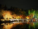 国営昭和記念公園 秋の夜散歩に投稿された画像（2022/11/18）