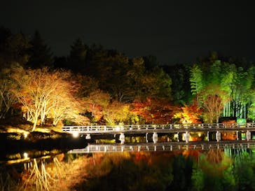 国営昭和記念公園 秋の夜散歩に投稿された画像（2022/11/17）